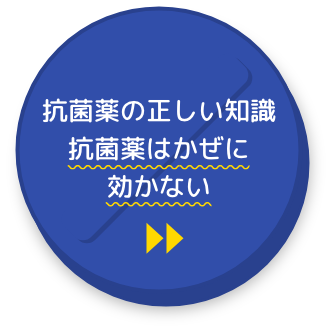 抗菌薬の正しい知識 抗菌薬はかぜに効かない